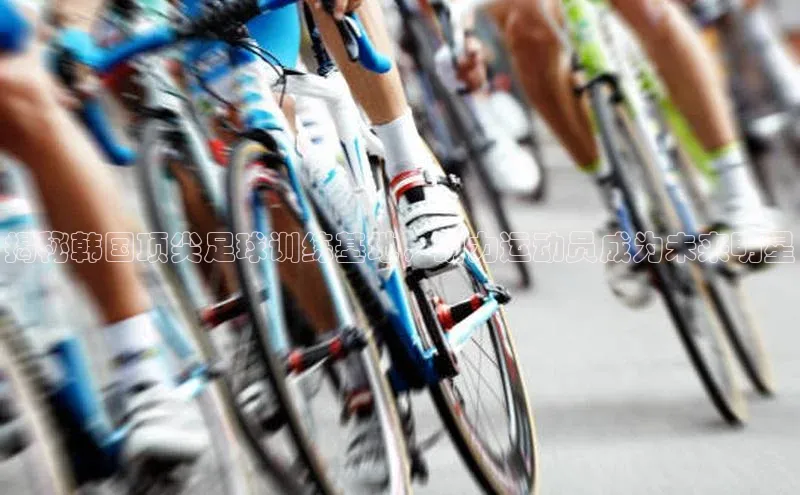 万向注册入口引力传媒揭秘韩国顶尖足球训练基地，助力运动员成为未来明星