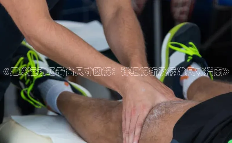 万向注册赛富乐斯《足球运动场看台尺寸图解：详细解析及标准尺寸指南》