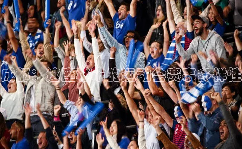 万向注册百度游戏成都：这座城市的运动会赛事多样性