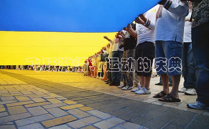 飞跃激情：运动的庆典