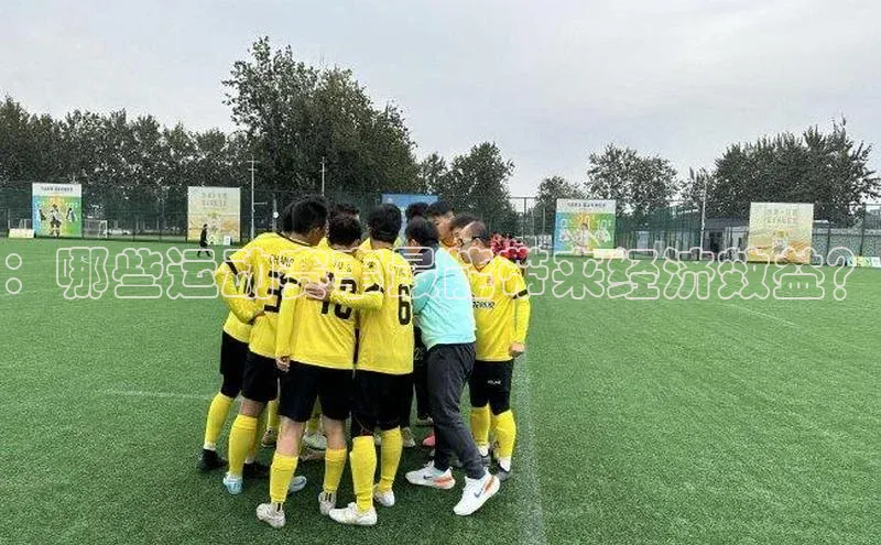 ：哪些运动赛事最能带来经济效益？