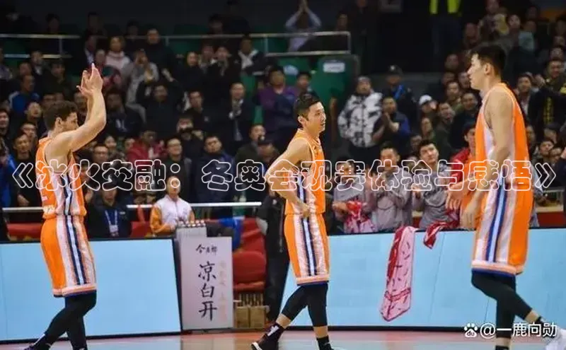 《冰火交融：冬奥会观赛体验与感悟》