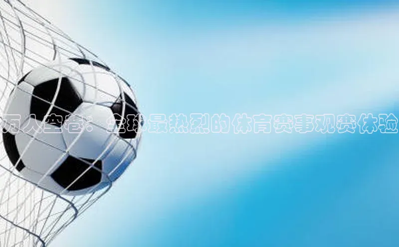 万人空巷：全球最热烈的体育赛事观赛体验