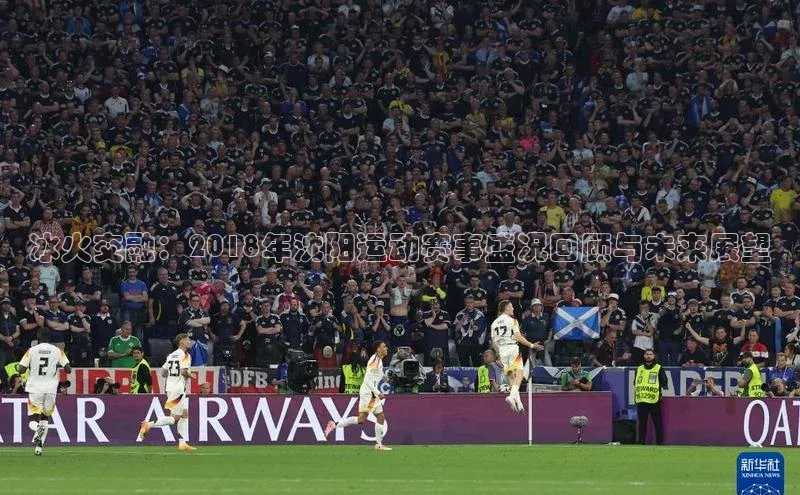 冰火交融：2018年沈阳运动赛事盛况回顾与未来展望