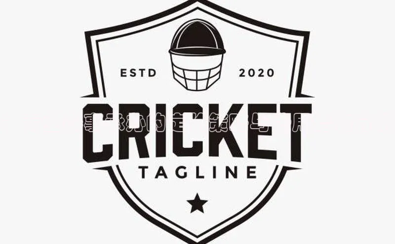 ：专业赛事承办的定价策略与费用结构分析